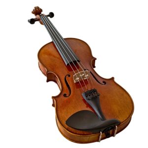 Violín PF modelo AV100 - Imagen 6
