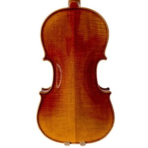 Alternative view of Violín PF modelo AV300