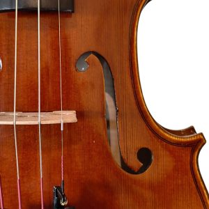 Violín PF modelo AV300 - Imagen 7