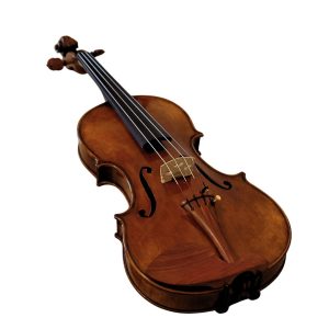 Violín PF modelo AVA60G - Imagen 6