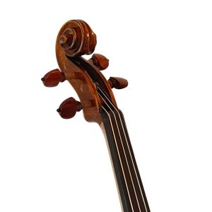 Violín PF modelo AVA60G - Imagen 9