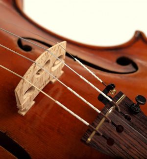 Encordado Warchal Amber para Violín - Imagen 2
