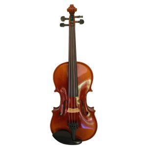 Violín PF modelo AV50 - Imagen 3