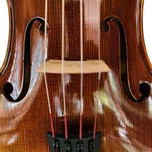 Violín PF modelo AV55S - Imagen 7