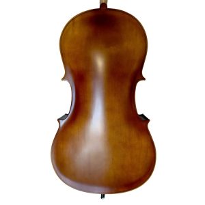Alternative view of Violoncello PF modelo GC101