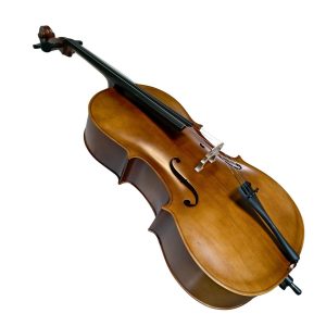 Violoncello PF modelo GC101 - Imagen 5