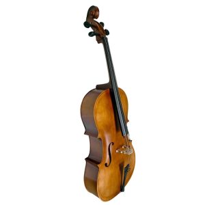 Violoncello PF modelo GC101 - Imagen 6