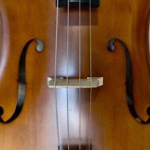 Violoncello PF modelo GC101 - Imagen 7