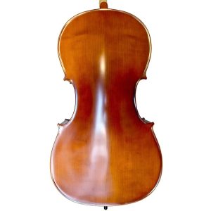 Alternative view of Violoncello PF modelo GC103