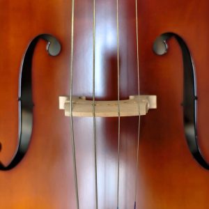 Violoncello PF modelo GC103 - Imagen 7
