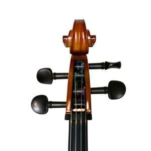 Violoncello PF modelo GC103 - Imagen 8