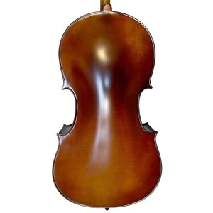 Alternative view of Violoncello PF modelo GC102H