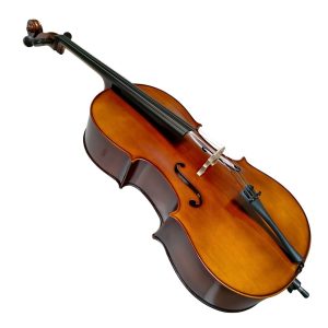 Violoncello PF modelo GC102H - Imagen 6