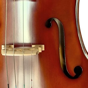 Violoncello PF modelo GC102H - Imagen 7