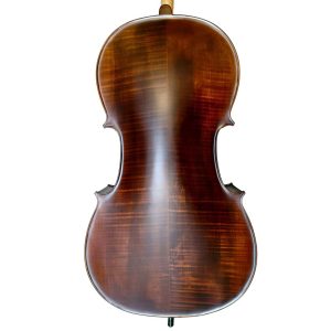 Alternative view of Violoncello PF modelo GC104