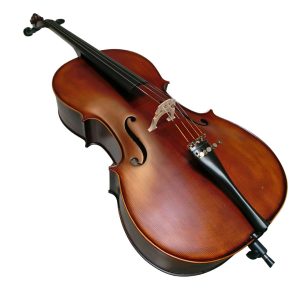 Violoncello PF modelo GC104 - Imagen 6