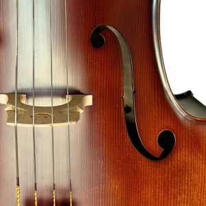 Violoncello PF modelo GC104 - Imagen 7
