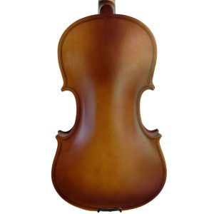 Alternative view of Violín PF modelo GV101