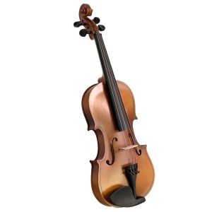 Violín PF modelo GV101 - Imagen 5