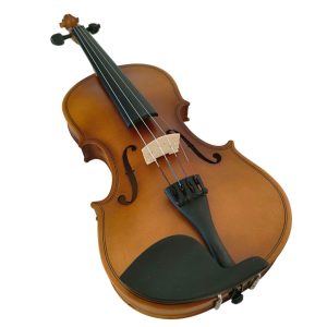 Violín PF modelo GV101 - Imagen 6