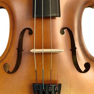 Violín PF modelo GV101 - Imagen 7