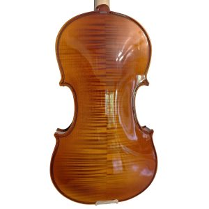 Alternative view of Violín PF modelo GV103F