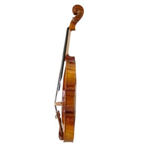 Violín PF modelo GV103F - Imagen 9
