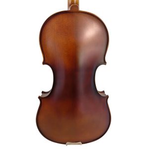 Alternative view of Violín PF modelo GV103H