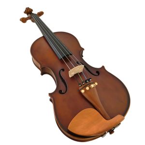 Violín PF modelo GV103H - Imagen 5
