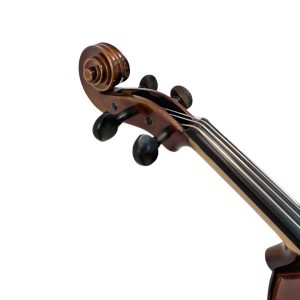 Violín PF modelo GV104G - Imagen 7