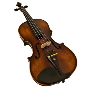 Violín PF modelo GV105 - Imagen 6