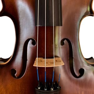Violín PF modelo GV105 - Imagen 7