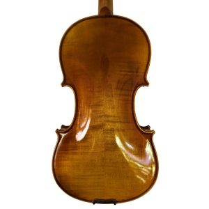 Alternative view of Violín PF modelo AV50S